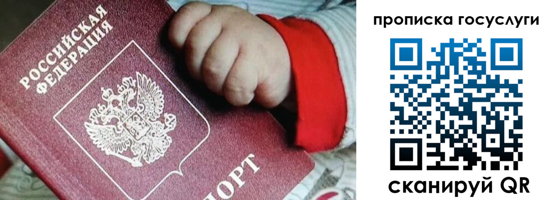 прописка штамп в Пересвете